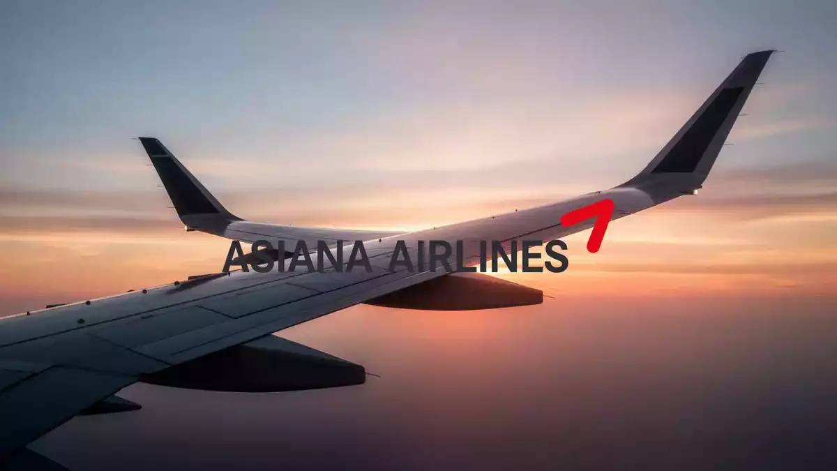 Asiana-Airlines-Aktie steigt dank Luftfahrt-Erholung und Starlink