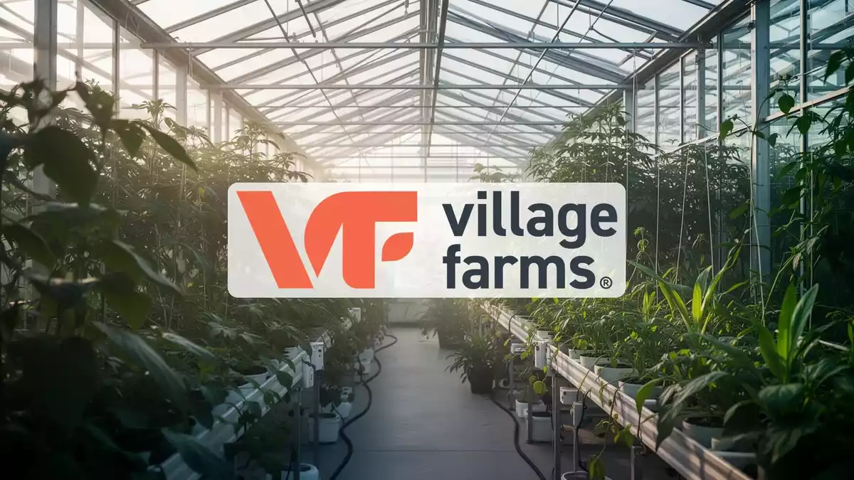 Village Farms: CEO-Kauf treibt Aktie nach europäischen Fortschritten an