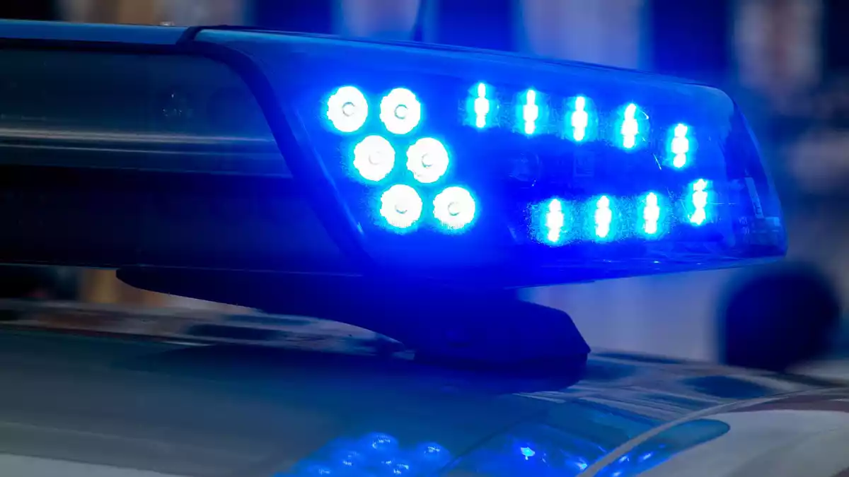 Die Polizei durchsucht Wohnung und Kellerräume der 42-Jährigen. (Symbolbild) - Bild: Klaus-Dietmar Gabbert/dpa-Zentralbild/dpa
