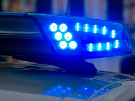 Die Polizei durchsucht Wohnung und Kellerräume der 42-Jährigen. (Symbolbild) - Foto: Klaus-Dietmar Gabbert/dpa-Zentralbild/dpa