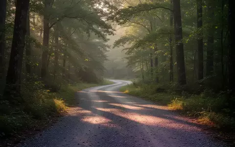 Ein einsamer Waldweg im weichen Morgenlicht, der zu Bewegung in der Natur einlädt. - Foto: über boerse-global.de