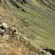 Der Tote wurde mit einem Hubschrauber nach unten geflogen. - Bild: Italienische Bergwacht/dpa