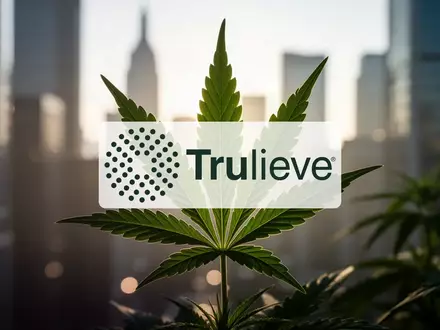 Abstrakte Darstellung einer Cannabispflanze vor einem unscharfen Finanzhintergrund, symbolisch für den Cannabismarkt. - Foto: über boerse-global.de