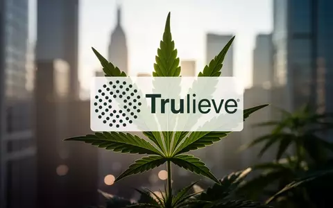 Abstrakte Darstellung einer Cannabispflanze vor einem unscharfen Finanzhintergrund, symbolisch für den Cannabismarkt. - Foto: über boerse-global.de