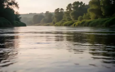 Ein ruhiger Fluss bei Sonnenaufgang mit sanften Wellen und bewaldetem Ufer im Hintergrund. - Foto: über boerse-global.de