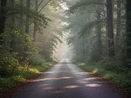Ein leerer Waldweg im sanften Morgenlicht, der zu sportlicher Betätigung im Freien einlädt. - Foto: über boerse-global.de