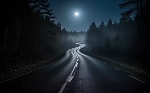 Eine menschenleere, dunkle Landstraße bei Nacht, gesäumt von dunklem Gebüsch und Waldrand. - Foto: über boerse-global.de
