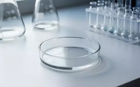 Ein steriler Labortisch mit einer leeren Glasschale in einer hellen, professionellen Forschungsumgebung. - Foto: über boerse-global.de