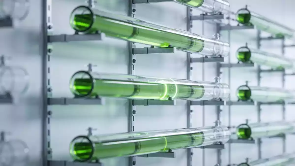 SunHydrogen vor Zahlen: Fortschritte treffen auf offene Kommerzialisierung