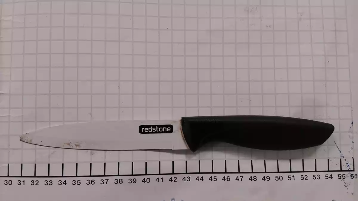 BPOL NRW: Mit Messer im Regionalexpress Bundespolizei nimmt Tatverdächtigen vorläufig fest - Bild: presseportal.de
