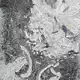 Ansammlung von Muschelschalen und Pflanzenresten – interpretiert als das Erbrochene eines Plesiosauriers. - Bild: Dirk Knaust/Cambridge University/EurekaAlert/dpa