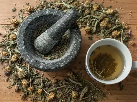 Symbolbild: getrocknete Heilkräuter mit Mörser und Tee - Foto: über boerse-global.de