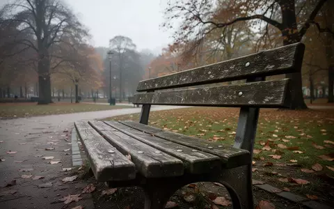 Eine leere, verwitterte Parkbank in einem sächsischen Park an einem bewölkten Tag. - Foto: über boerse-global.de
