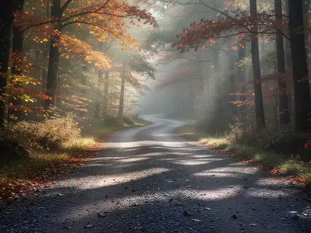 Ein gewundener Waldweg mit Kiesbelag im herbstlichen Licht, der zu einem aktiven Lebensstil und Bewegung einlädt. - Foto: über boerse-global.de