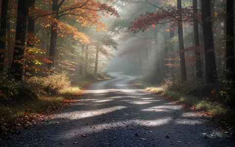 Ein gewundener Waldweg mit Kiesbelag im herbstlichen Licht, der zu einem aktiven Lebensstil und Bewegung einlädt. - Foto: über boerse-global.de