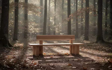 Eine leere Holzbank in einer ruhigen Waldlichtung im Herbstlicht als Symbol für Erholung und mentale Entspannung. - Foto: über boerse-global.de