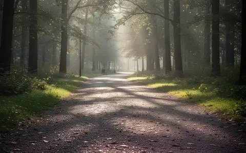Ein sonnendurchfluteter Waldweg in einem Park, der zu Bewegung und körperlicher Aktivität einlädt. - Foto: über boerse-global.de