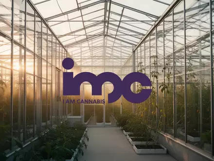 Moderne, lichtdurchflutete Gewächshausanlage als Symbol für Innovation und Wachstum in der Cannabis-Branche. - Foto: über boerse-global.de