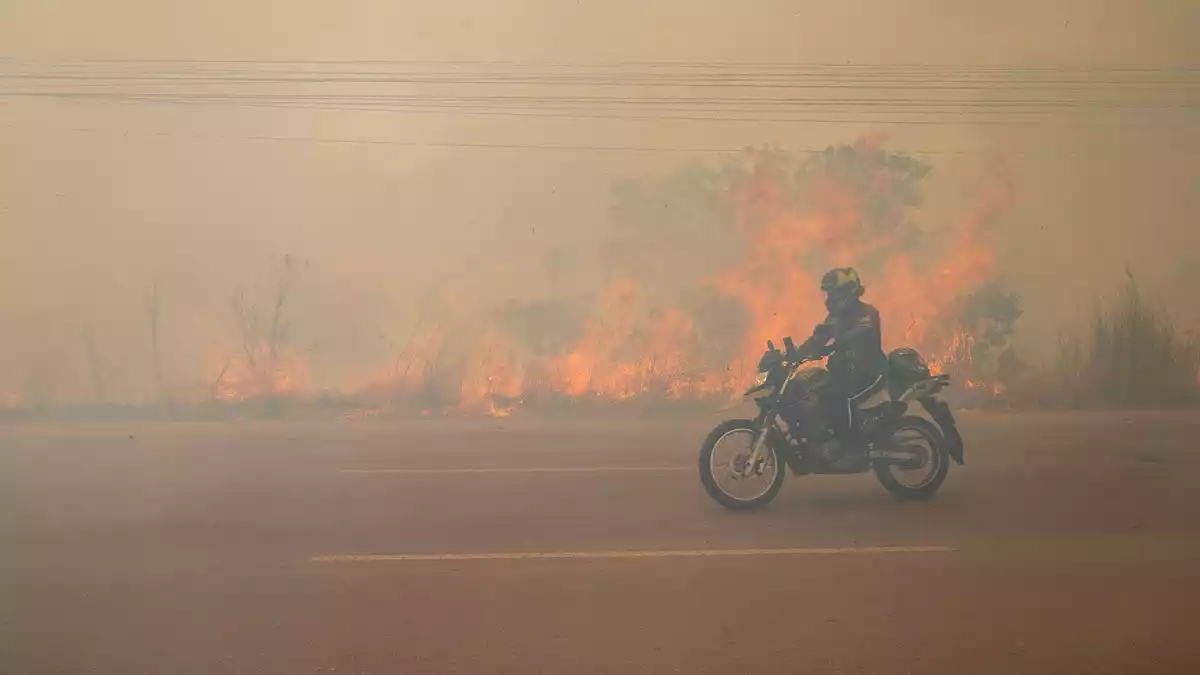 Zahlreiche Waldbrände wüten in der Region. - Bild: Suamy Beydoun/dpa