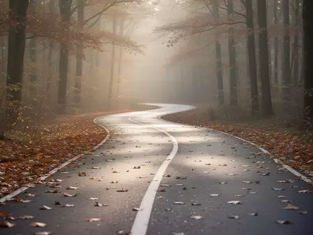 Ein leerer, gewundener Waldweg im herbstlichen Licht bei Sonnenaufgang. - Foto: über boerse-global.de
