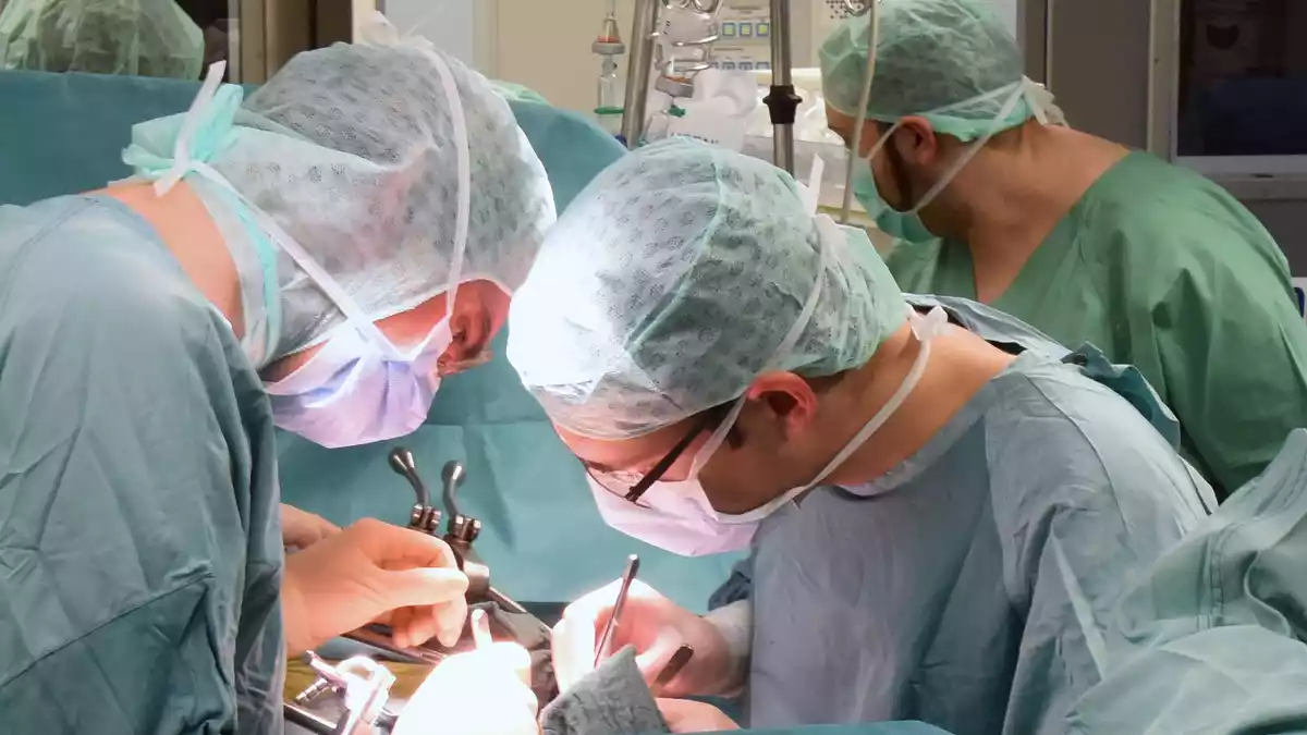 Mehr als 8.000 Menschen stehen auf Wartelisten für Spenderorgane. (Archivbild) - Bild: Waltraud Grubitzsch/dpa-Zentralbild/dpa