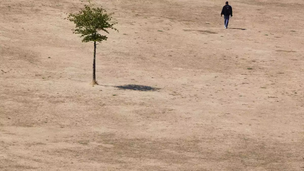 Die Hitzewelle des vergangenen Sommers wirkt sich auch auf die Konjunktur aus. (Symbolbild) - Bild: Kirsty Wigglesworth/AP/dpa