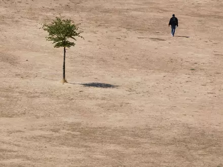 Die Hitzewelle des vergangenen Sommers wirkt sich auch auf die Konjunktur aus. (Symbolbild) - Foto: Kirsty Wigglesworth/AP/dpa