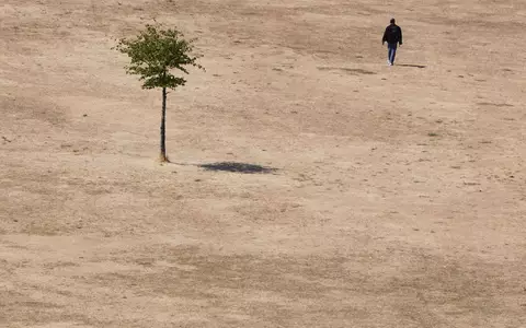 Die Hitzewelle des vergangenen Sommers wirkt sich auch auf die Konjunktur aus. (Symbolbild) - Foto: Kirsty Wigglesworth/AP/dpa
