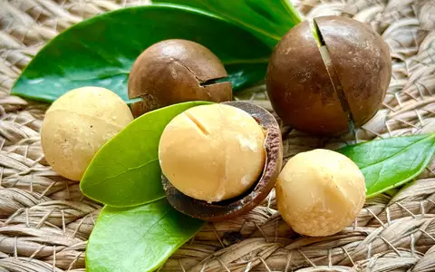 Macadamia-Nüsse haben eine buttrige, fast cremige Konsistenz.  - Foto: Carola Frentzen/dpa