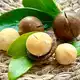 Macadamia-Nüsse haben eine buttrige, fast cremige Konsistenz.  - Bild: Carola Frentzen/dpa
