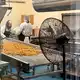 Interessenten können bei Nutworks beobachten, wie die Macadamia-Nüsse verarbeitet werden. - Bild: Carola Frentzen/dpa