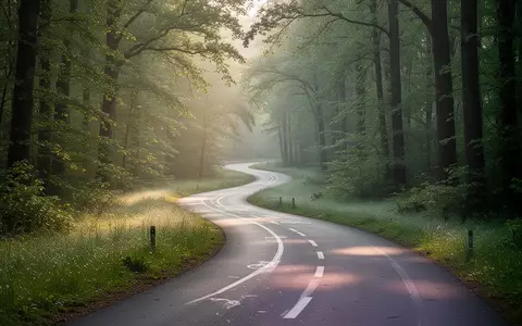 Ein einsamer Fahrradweg in einem grünen Wald im Morgenlicht. - Foto: über boerse-global.de