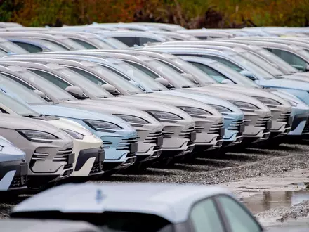 Elektrofahrzeuge von BYD stehen im Hafengebiet von Wilhelmshaven. Chinesische Hersteller drängen weiter auf den EU-Automarkt. (Archivbild) - Foto: Hauke-Christian Dittrich/dpa