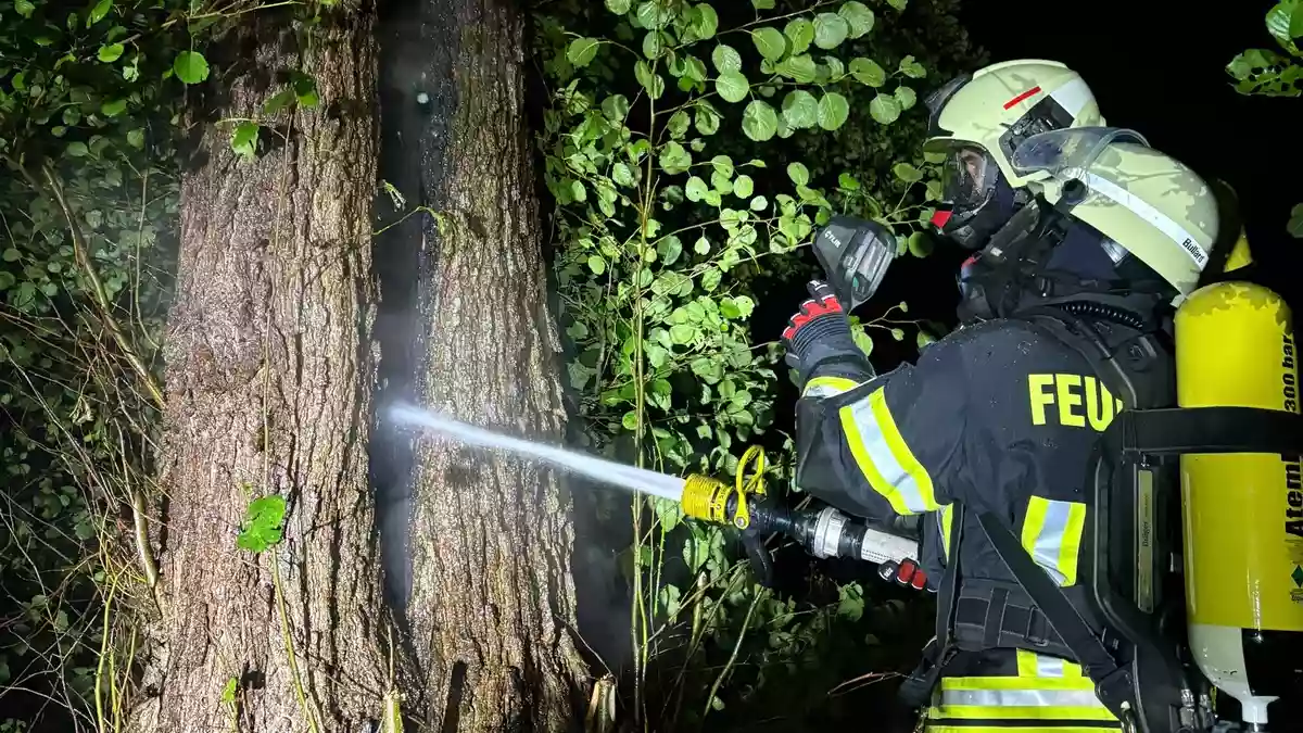 FW-AUR: Blitzeinschlag in Baumstamm - Bild: presseportal.de
