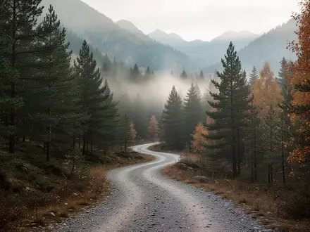 Ein nebelverhangener Waldpfad in einer herbstlichen Berglandschaft. - Foto: über boerse-global.de