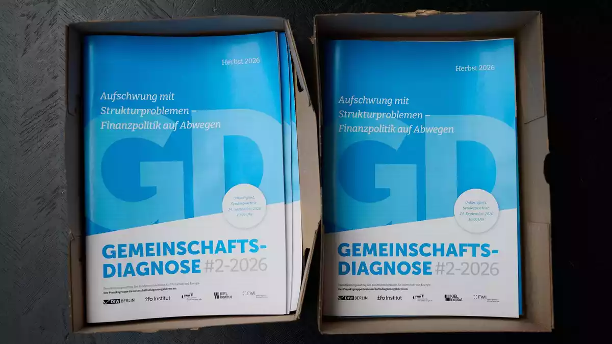 Die Gemeinschaftsdiagnose wird im Frühjahr und im Herbst von Wirtschaftsforschungsinstituten veröffentlicht. - Bild: Sebastian Christoph Gollnow/dpa