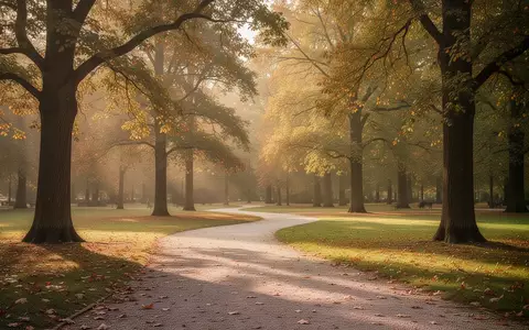 Ein sonnendurchfluteter Park mit einem geschwungenen Kiesweg zwischen herbstlichen Bäumen, der Ruhe und Langlebigkeit symbolisiert. - Foto: über boerse-global.de