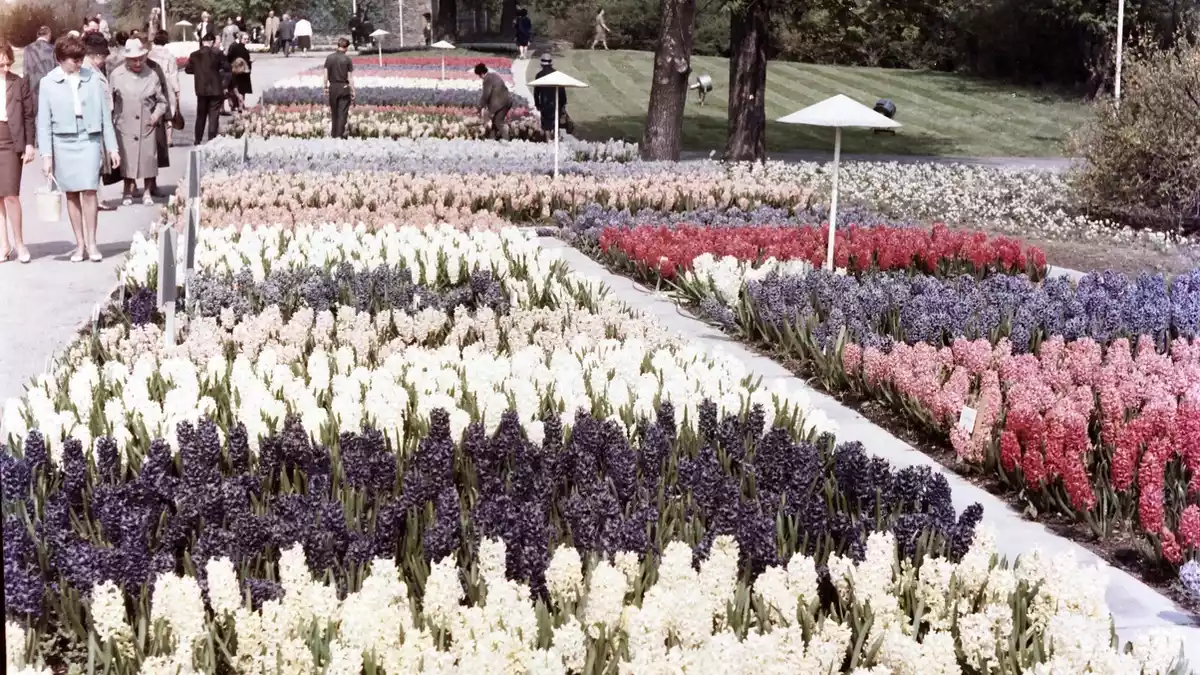 Ein Garten der Moderne mit einer großen Geschichte: Der egapark Erfurt feiert in diesem Jahr sein 65. Jubiläum - Bild: presseportal.de