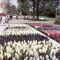 Ein Garten der Moderne mit einer großen Geschichte: Der egapark Erfurt feiert in diesem Jahr sein 65. Jubiläum - Foto: presseportal.de