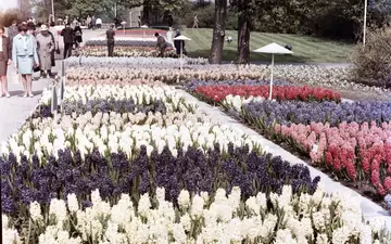 Ein Garten der Moderne mit einer großen Geschichte: Der egapark Erfurt feiert in diesem Jahr sein 65. Jubiläum - Foto: presseportal.de