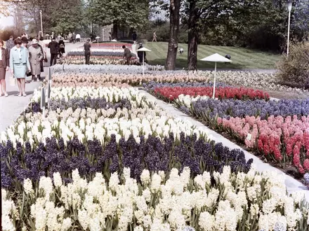 Ein Garten der Moderne mit einer großen Geschichte: Der egapark Erfurt feiert in diesem Jahr sein 65. Jubiläum - Foto: presseportal.de