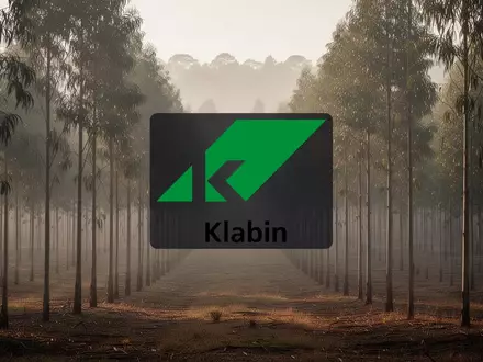 Reihen von EukalyptusbĂ€umen in einer Forstplantage bei morgendlichem Nebel als Symbol fĂŒr die Papier- und Zellstoffindustrie - Foto: ĂŒber boerse-global.de