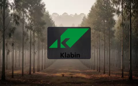 Reihen von Eukalyptusbäumen in einer Forstplantage bei morgendlichem Nebel als Symbol für die Papier- und Zellstoffindustrie - Foto: über boerse-global.de
