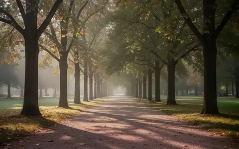 Ein ruhiger, sonnendurchfluteter Parkweg mit Bäumen und weichem Morgenlicht. - Foto: über boerse-global.de