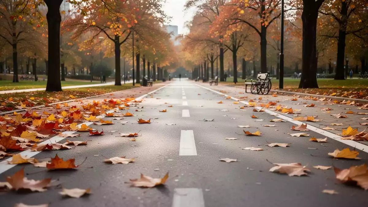Radfahren im Alter: Unfallgefahren, Sturzprävention und sichere Wege