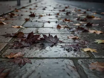 Ein Gehweg mit nassem, herbstlichem Laub bei trübem Tageslicht als Symbol für Sturzgefahren im Alter. - Foto: über boerse-global.de