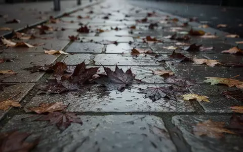 Ein Gehweg mit nassem, herbstlichem Laub bei trübem Tageslicht als Symbol für Sturzgefahren im Alter. - Foto: über boerse-global.de
