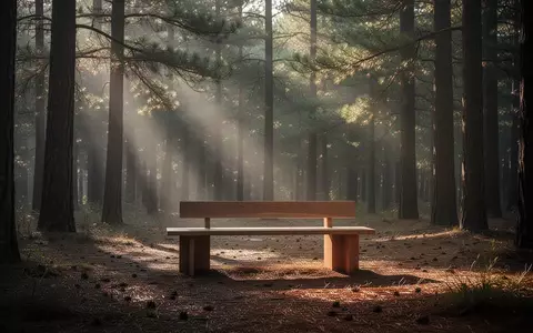 Eine leere Holzbank in einer ruhigen Waldlichtung bei sanftem Morgenlicht als Symbol für mentale Erholung. - Foto: über boerse-global.de