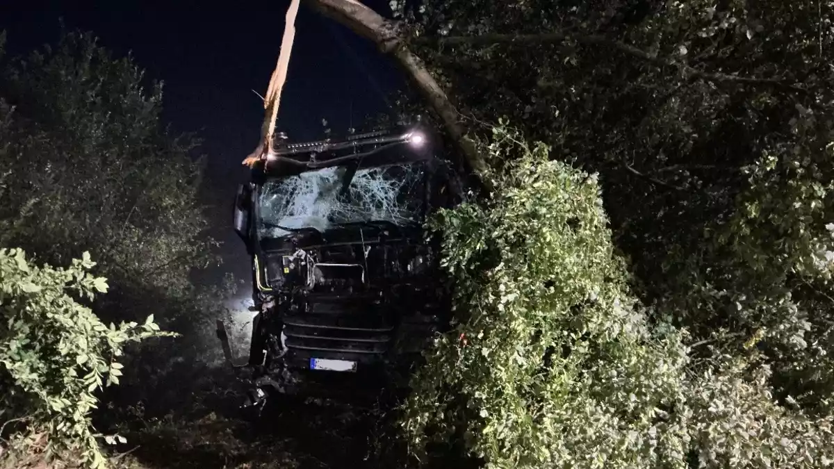 Feuerwehr Kalkar: Rübentransporter kommt auf der B67 von der Fahrbahn ab - Fahrer bleibt unverletzt - Bild: presseportal.de