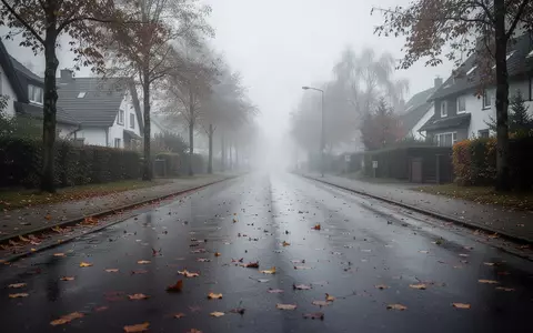 Eine leere, nasse Vorstadtstraße unter einem bewölkten Himmel in Nordrhein-Westfalen. - Foto: über boerse-global.de